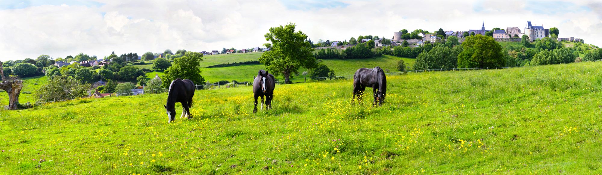 Chevaux