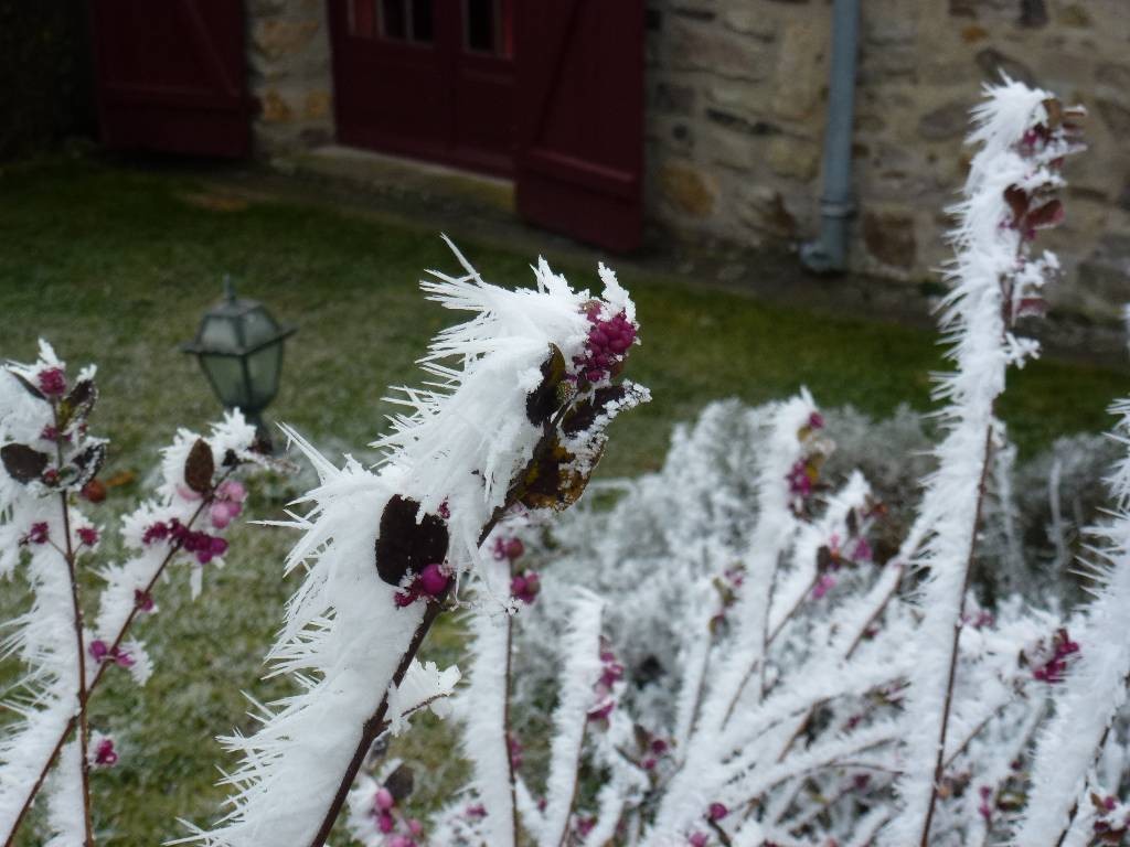 Givre b