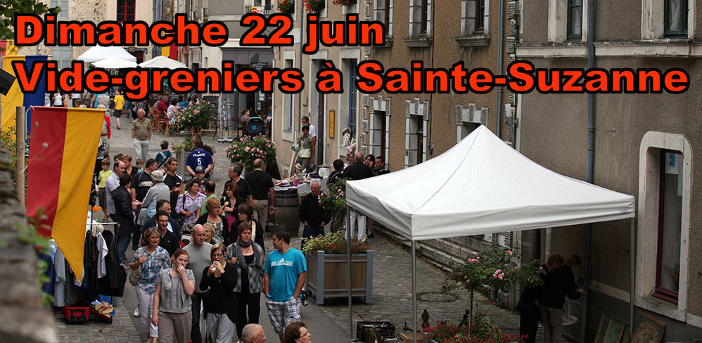 Videgrenier2014